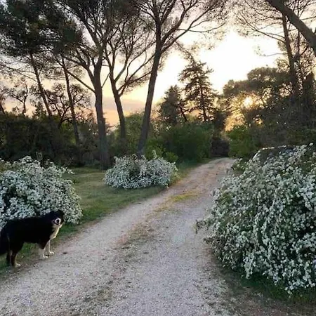 La Pampa * Nimes