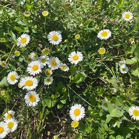 La Pampa アパート ニーム