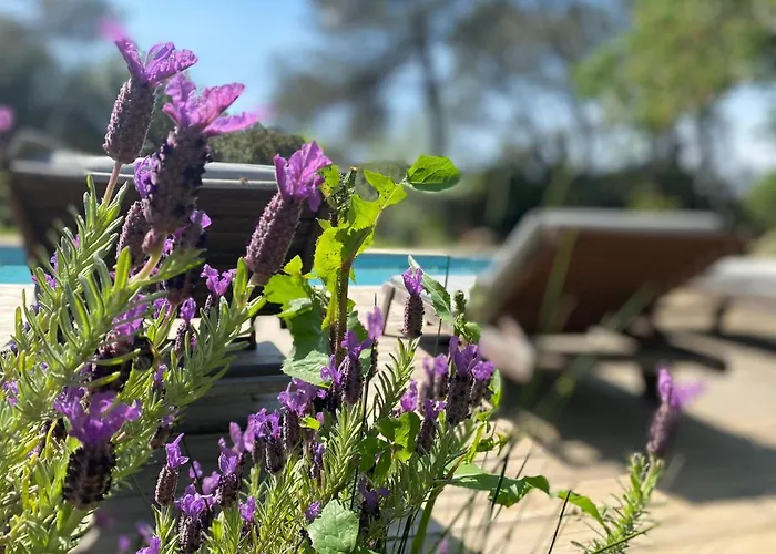 Appartement La Pampa Nîmes